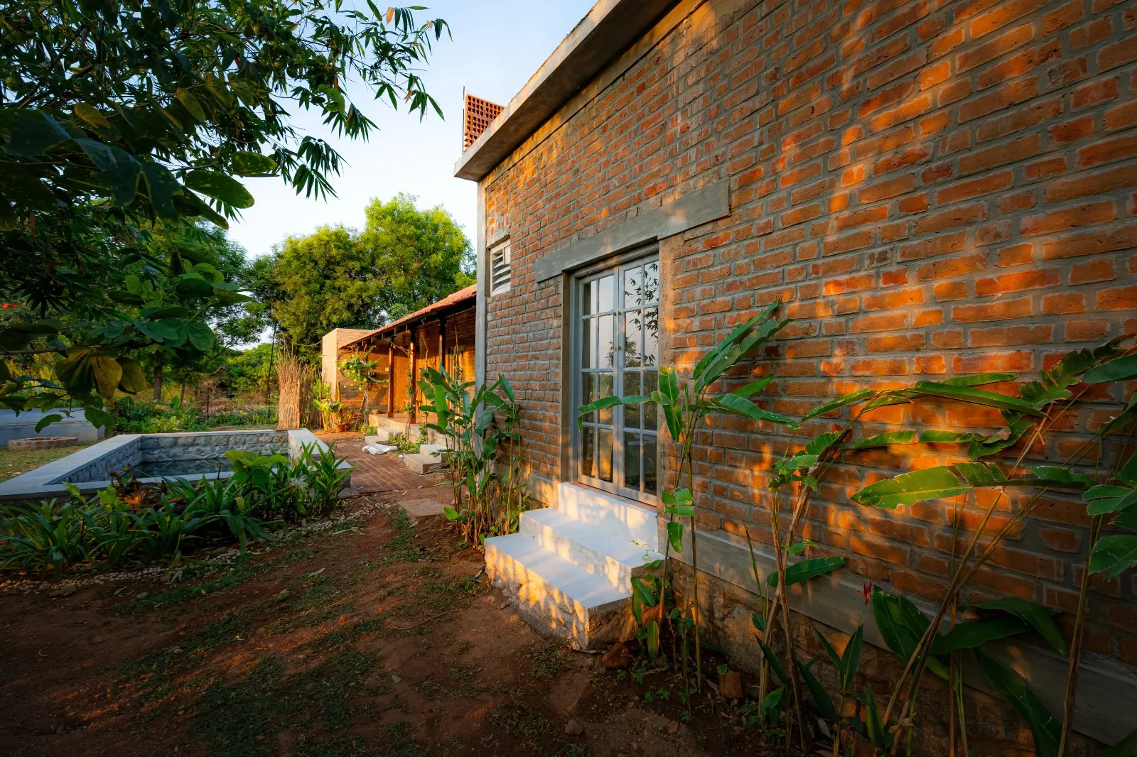 Outdoor natural area view at Ficus cottage - Kilukka Farms