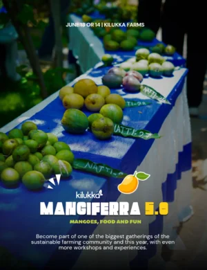 MANGIFERRA 5.0 – Mango Festival at Kilukka Farms 14th