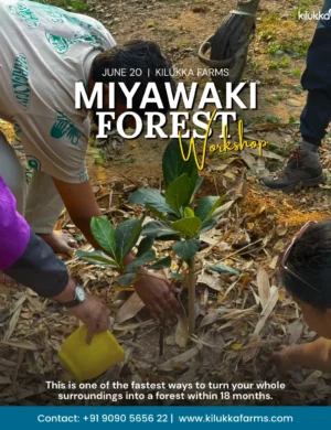 Miyawaki Forest Workshop – at Kilukka Farms