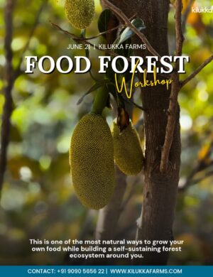 Food Forest Workshop - at Kilukka Farms