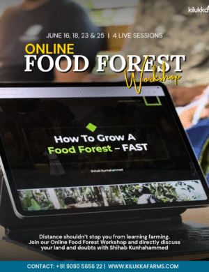 Food Forest Online Workshop