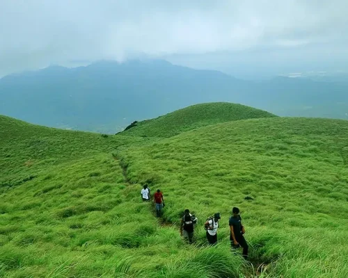 Chembra-Peak-Trek-Wayanad-Kerala Nature Trails & Trekking