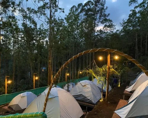 Spice-Stays-Camping-Ground-Suryanelli-Tent-Stay-5 Spice-Stays-Camping-Ground-Suryanelli-Tent-Stay - Kilukka Farms